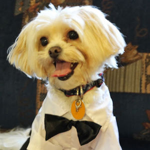 Meet your Posher, Marceliano